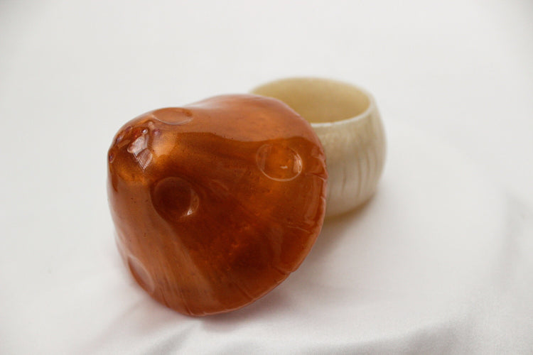 Handmade Resin Mushroom Box | Mushie Trinket Box | Cottage Core Aesthetic Room Decor | Boho Resin Ring Dish