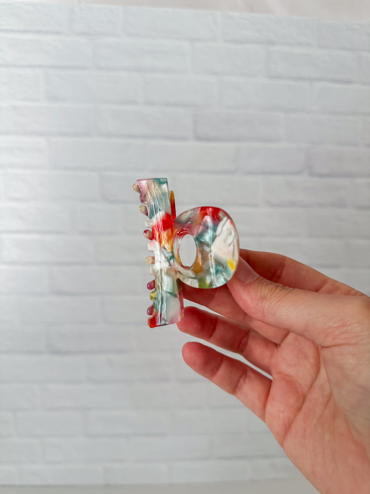 Mini Rainbow Claw Clip