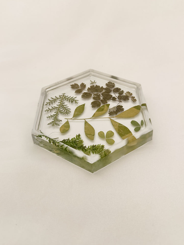 Greenery Coaster