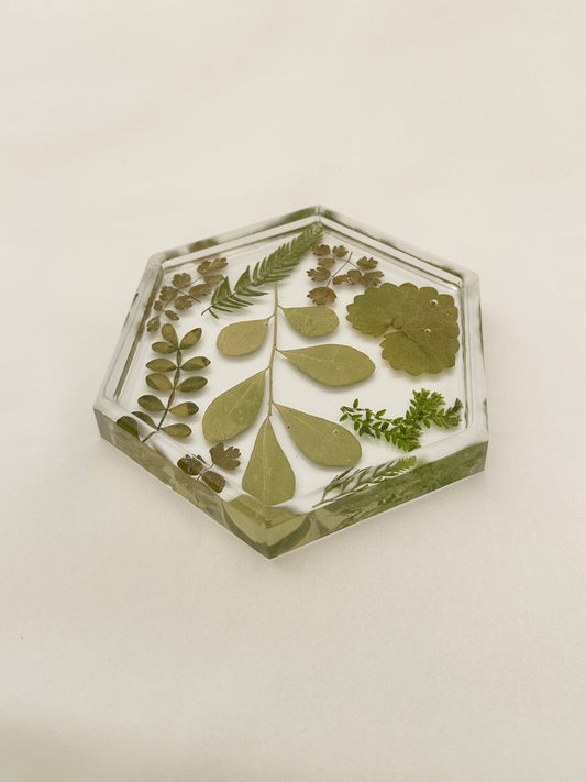 Greenery Coaster
