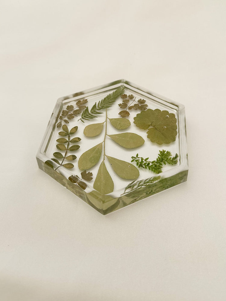Greenery Coaster