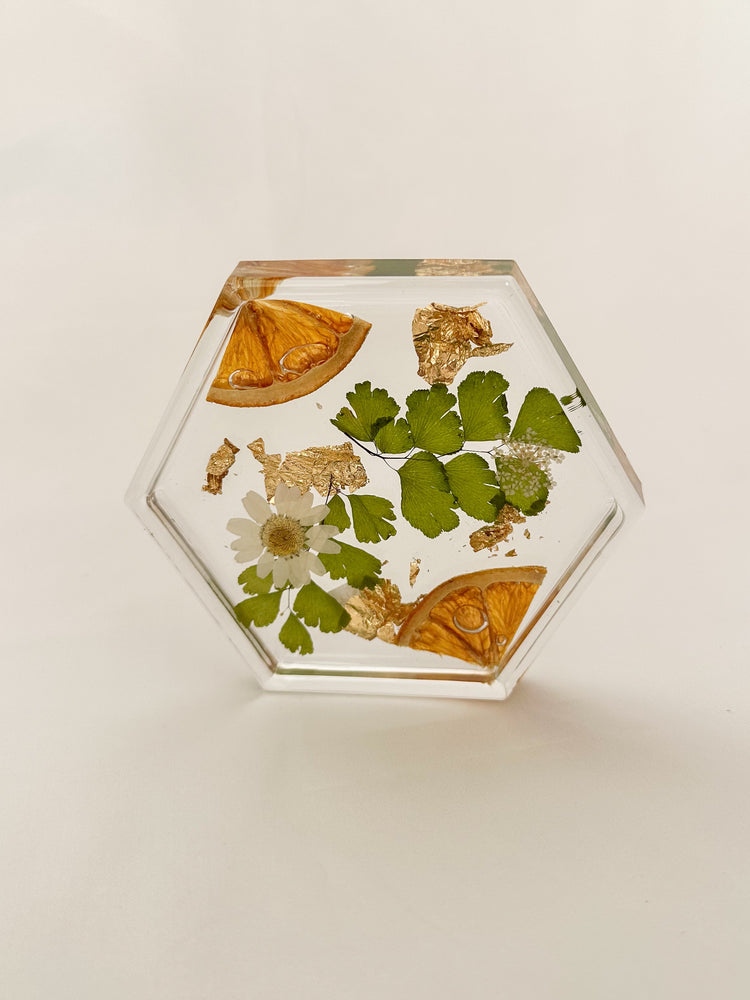 Floral Orange Coaster