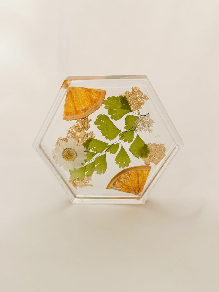 Floral Orange Coaster